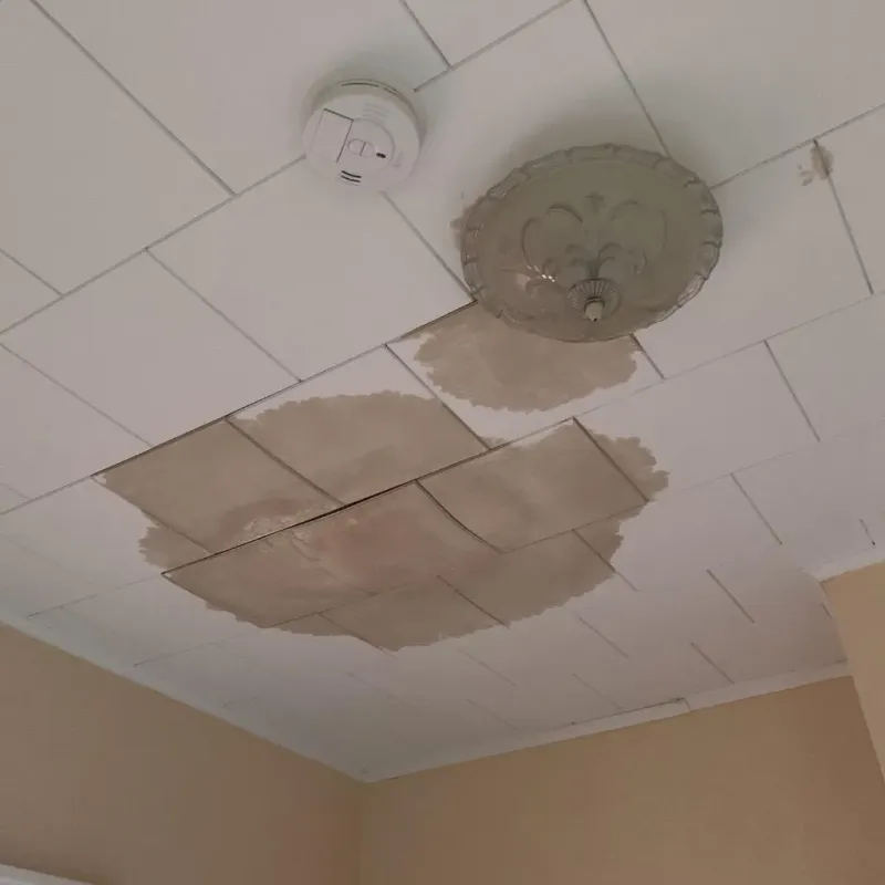 Ceiling Water Damage Repair in Auburn Lake Trails, CA